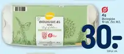 REMA 1000 Æg tilbud