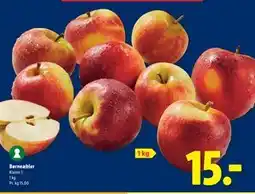 Lidl Børneæbler tilbud