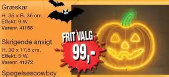 Græskar