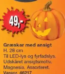 Harald Nyborg Græskar med ansigt tilbud