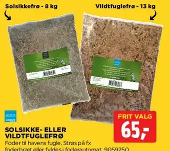 Solsikke- eller vildtfuglefrø