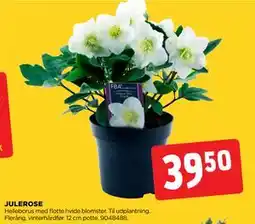 jem & fix JULEROSE tilbud