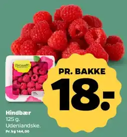 Netto Hindbær tilbud