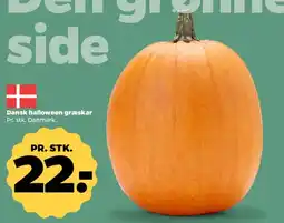 Netto Dansk halloween græskar tilbud