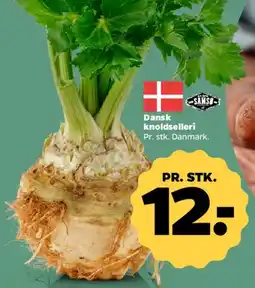 Netto Dansk knoldselleri tilbud