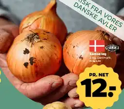 Netto Samsø løg tilbud
