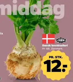 Netto Dansk knoldselleri tilbud