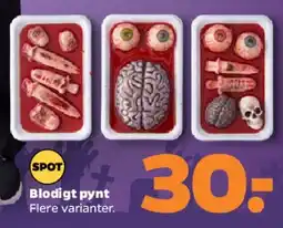 Netto Blodigt pynt tilbud