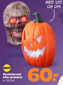 Netto Skelethoved eller græskar tilbud