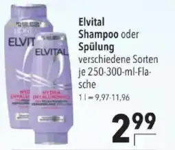 Citti Elvital Shampoo oder Spülung tilbud