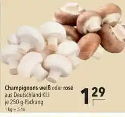 Citti Champignons weiß oder rosé tilbud