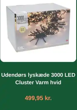 Plantorama Cluster Udendørs lyskæde 3000 LED Varm hvid tilbud