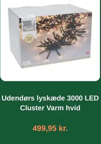 Cluster Udendørs lyskæde 3000 LED Varm hvid