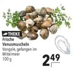 Citti THEKE Frische Venusmuscheln tilbud