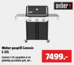Bauhaus Weber gasgrill Genesis E-315 tilbud