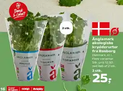 SuperBrugsen Änglamark økologiske krydderurter fra Rosborg tilbud