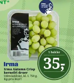 Dagli'Brugsen Irma Autumn Crisp kernefri druer tilbud