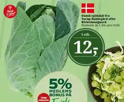 Dagli'Brugsen Dansk spidskål tilbud