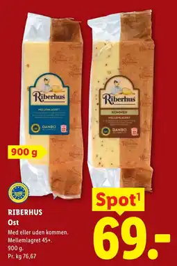 Lidl Riberhus Ost tilbud