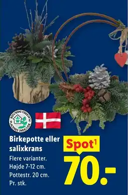 Lidl Birkepotte eller salixkrans tilbud