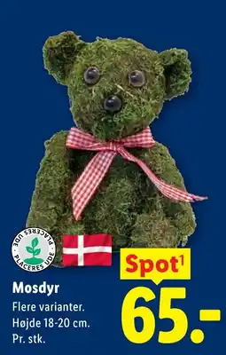 Lidl Mosdyr tilbud