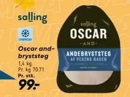 Bilka Salling oscar and andebryrsteg tilbud