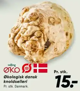 Bilka ØKO knoldselleri tilbud