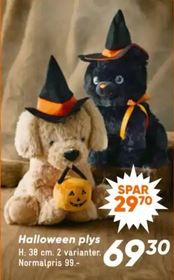 Halloween plys