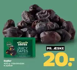 Netto Green Dates Juicy Dates tilbud