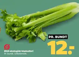 Netto ØGO økologisk bladselleri tilbud