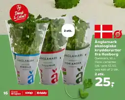Kvickly Anglamark økologiske krydderurter tilbud