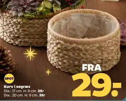Netto Spot kurv i søgræs tilbud