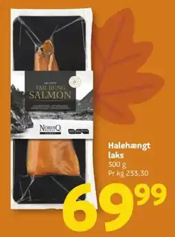 Løvbjerg Nordiq Tail Hung Salmon tilbud