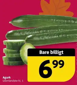 Løvbjerg Agurk tilbud
