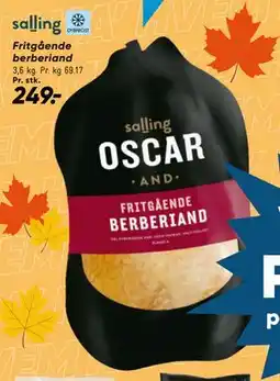 Bilka Fritgående berberiand tilbud