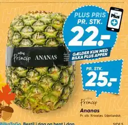 Bilka Ananas tilbud