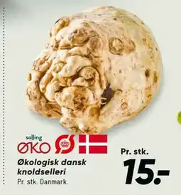 Bilka Økologisk dansk knoldselleri tilbud