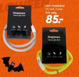 Bilka LED-halsbånd tilbud