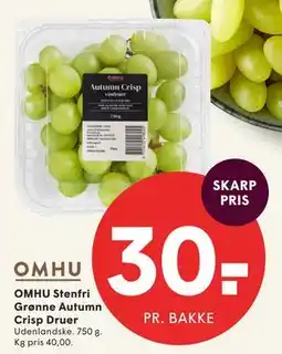 SPAR OMHU Stenfri Grønne Autumn Crisp Druer tilbud