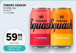 Scandinavian Park TUBORG SQUASH tilbud
