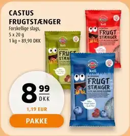 Scandinavian Park CASTUS FRUGTSTÆNGER tilbud
