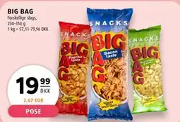 Scandinavian Park BIG BAG tilbud