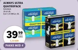 Scandinavian Park ALWAYS ULTRA QUATROPACK tilbud