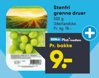 Bilka Stenfri grønne druer tilbud