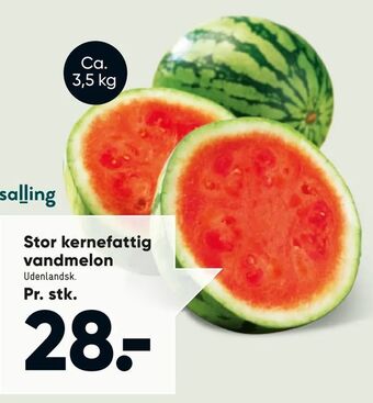 Bilka Stor kernefattig vandmelon tilbud