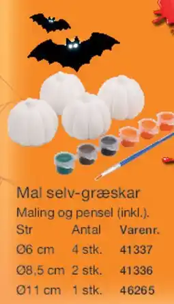 Harald Nyborg Mal selv-græskar tilbud