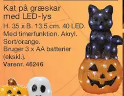 Harald Nyborg Kat på græskar med LED-lys tilbud