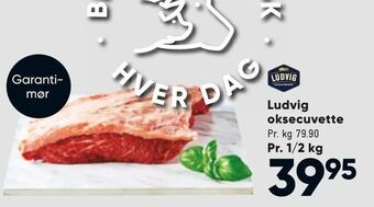 Bilka Ludvig oksecuvette tilbud