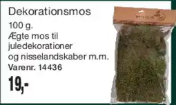 Harald Nyborg Dekoration - Bær tilbud
