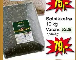 Harald Nyborg Solsikkefrø tilbud
